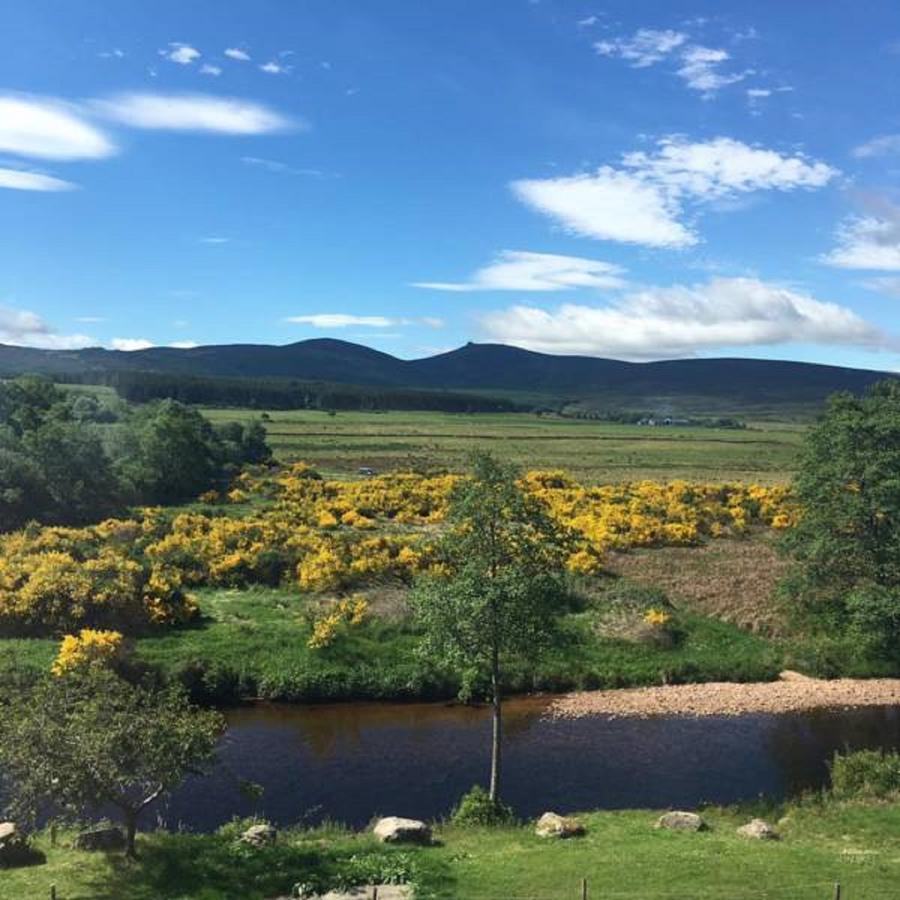 Feughside Guesthouse Banchory Exterior foto